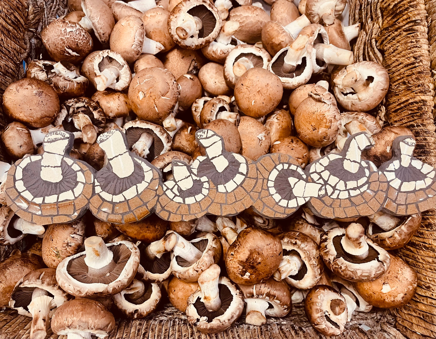 Mosaic row of mushrooms
