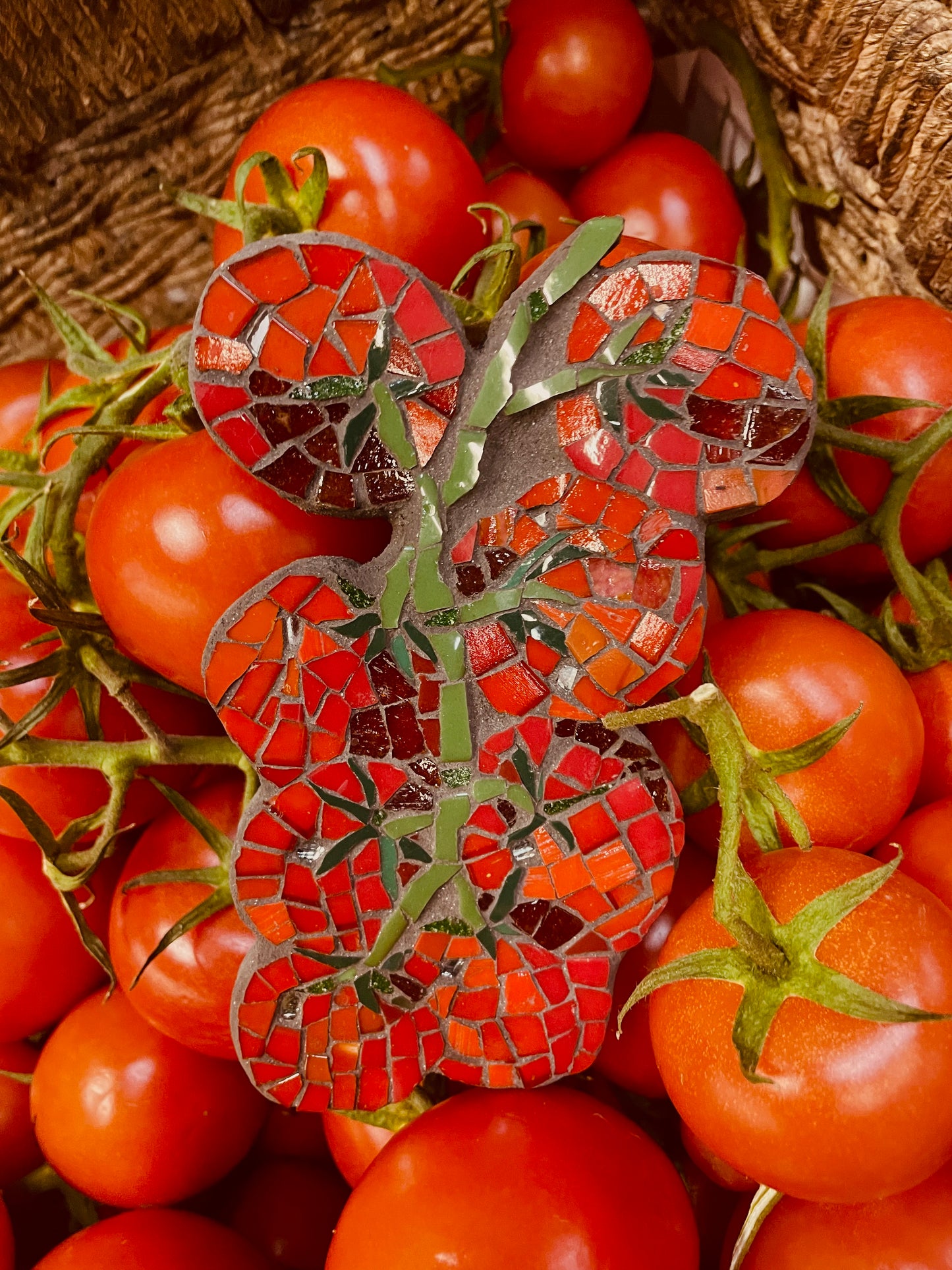 Mosaic Vine Tomatoes x8