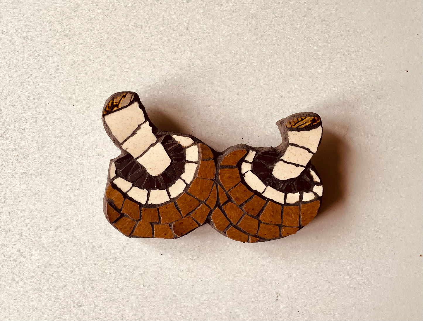 2 chesnut mushrooms