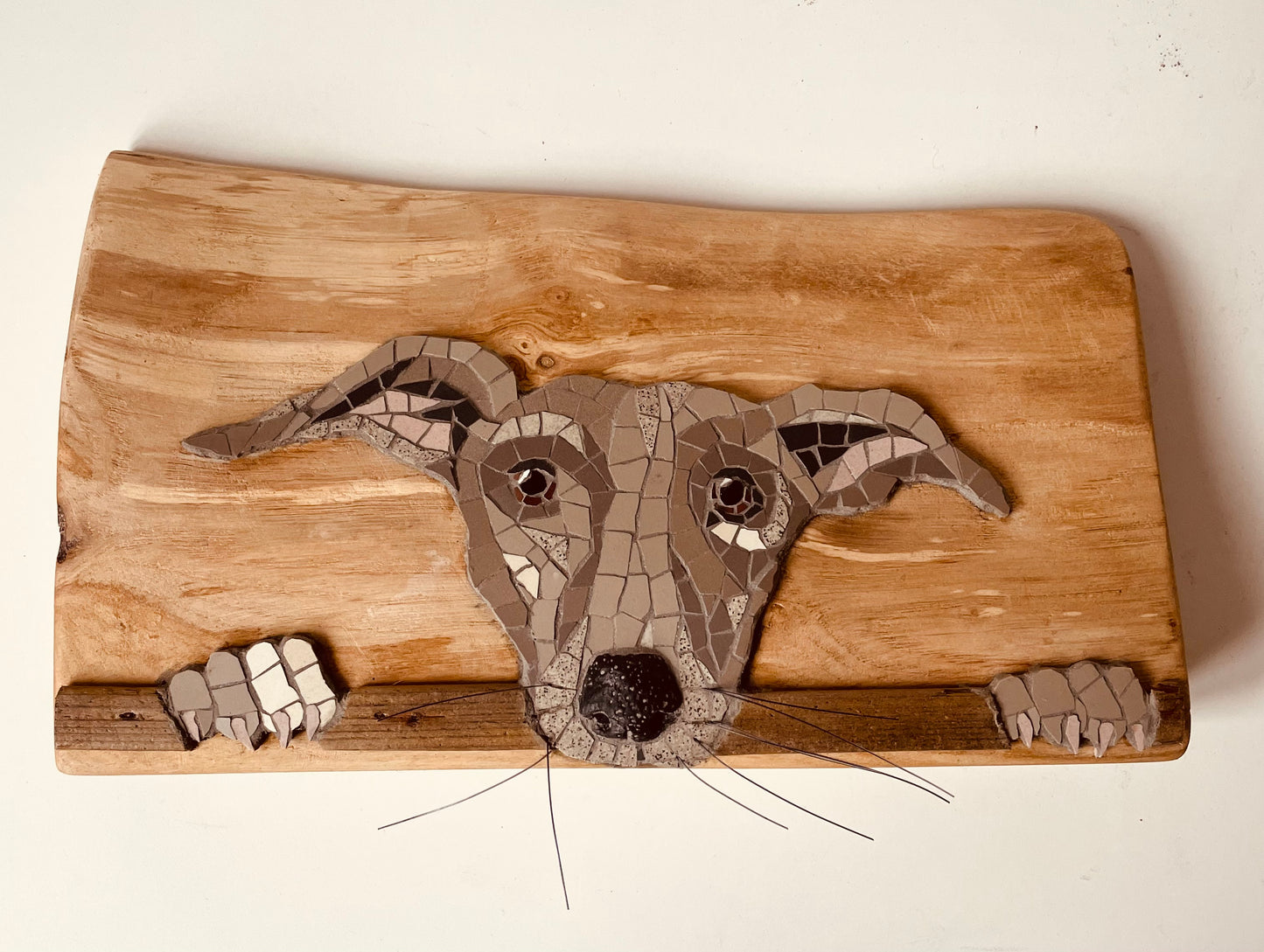 Grey Lurcher Dog on wooden block