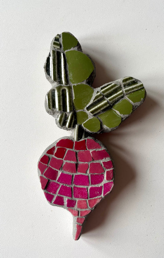 Radish C
