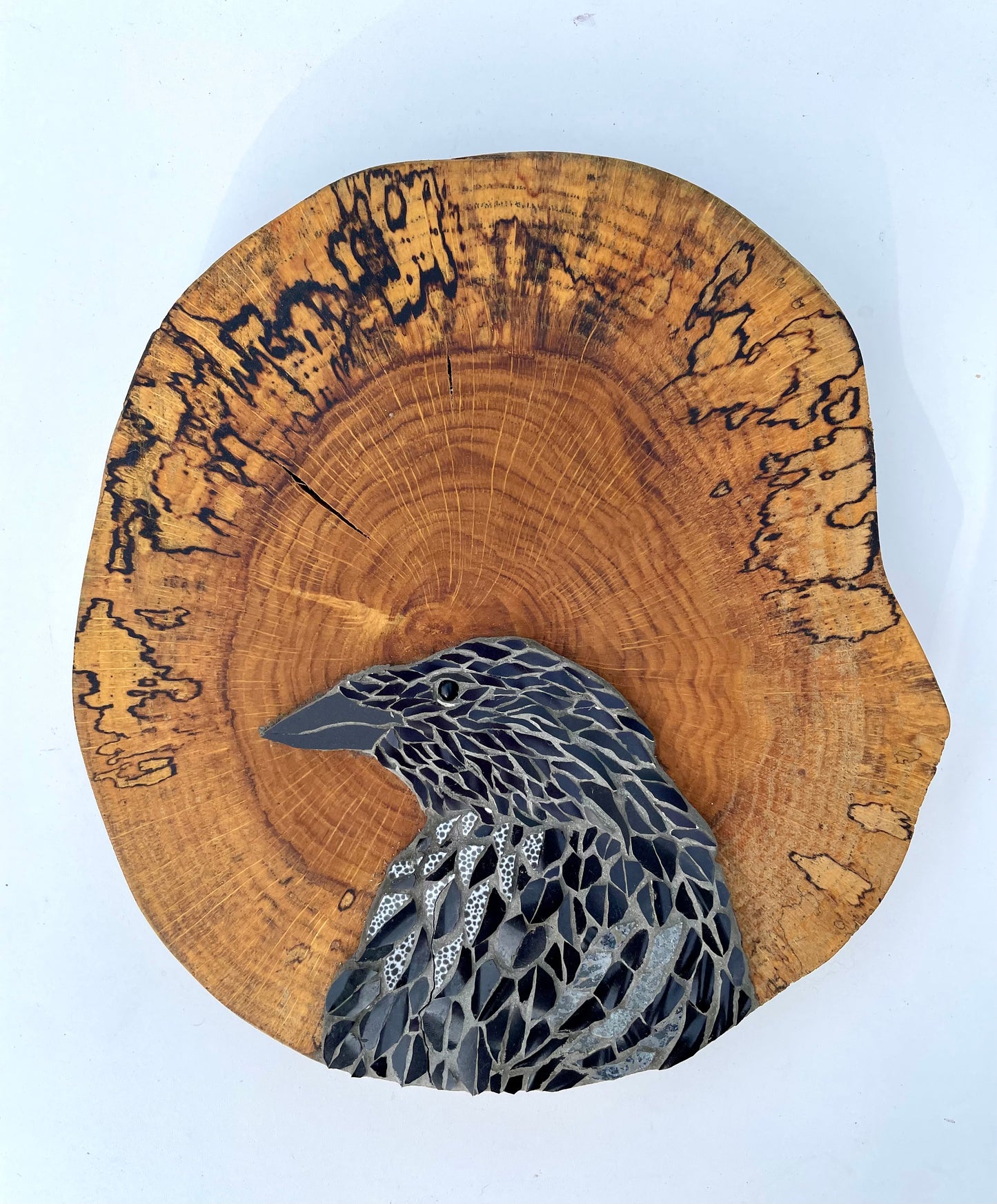 Crow on a spalted wooden board