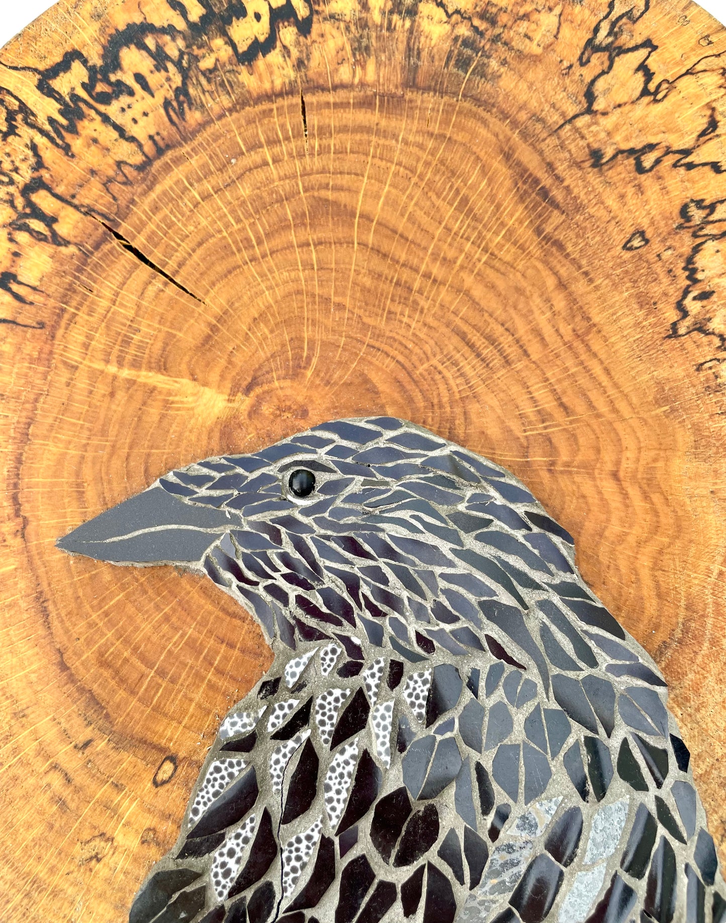 Crow on a spalted wooden board
