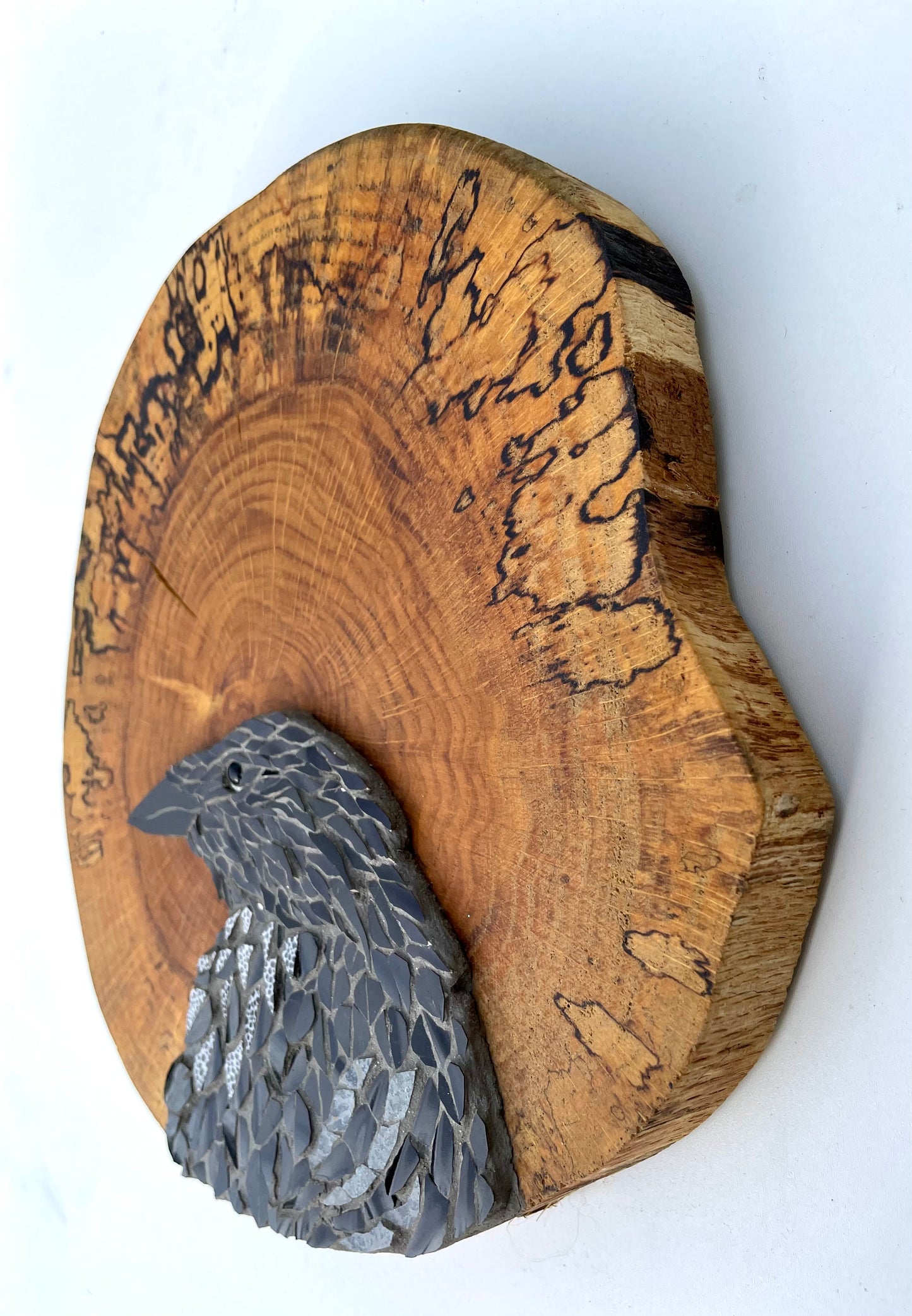 Crow on a spalted wooden board