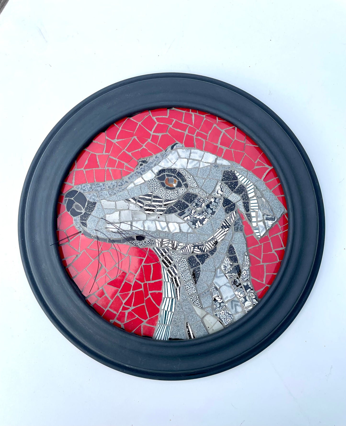 Grey Lurcher Dog