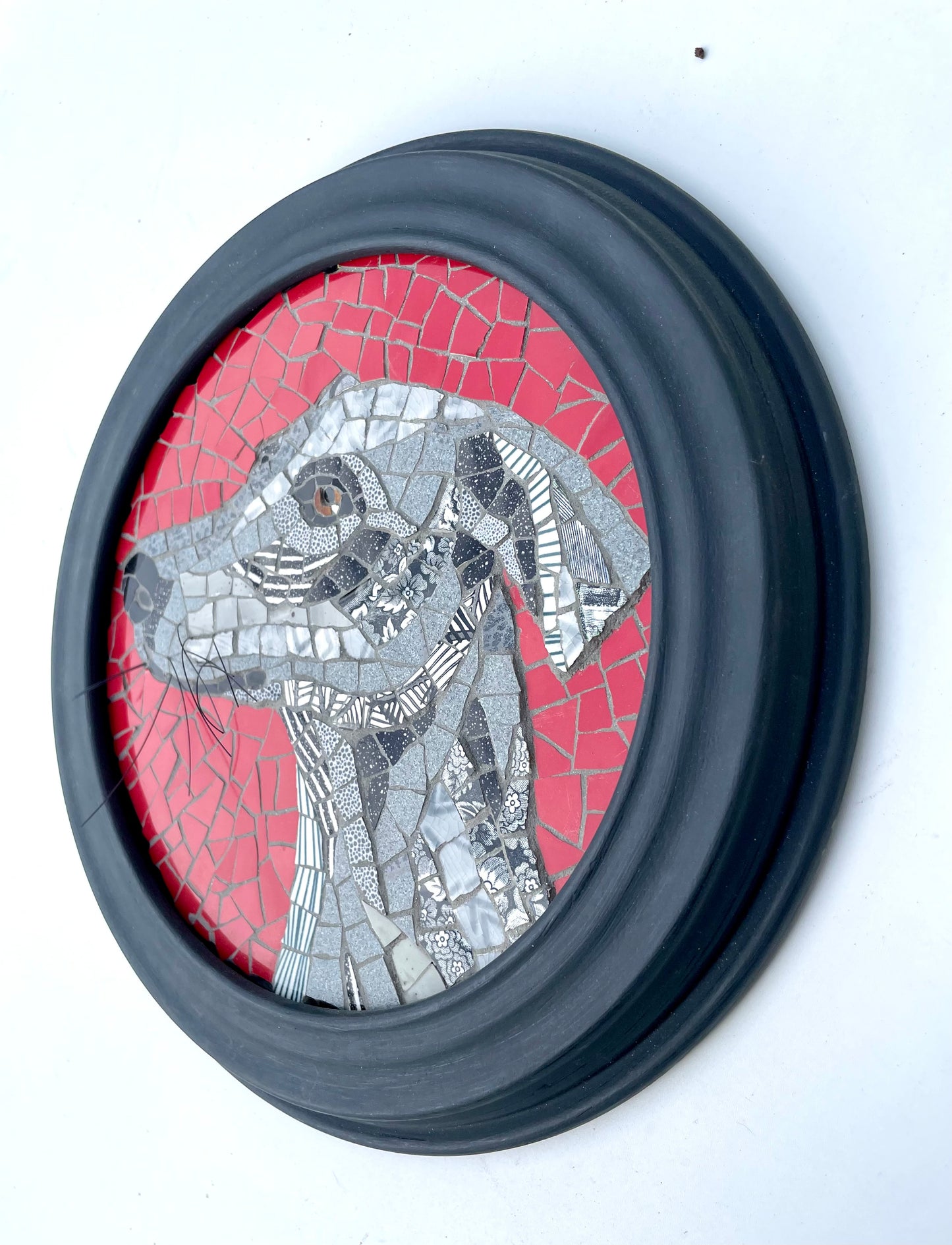 Grey Lurcher Dog