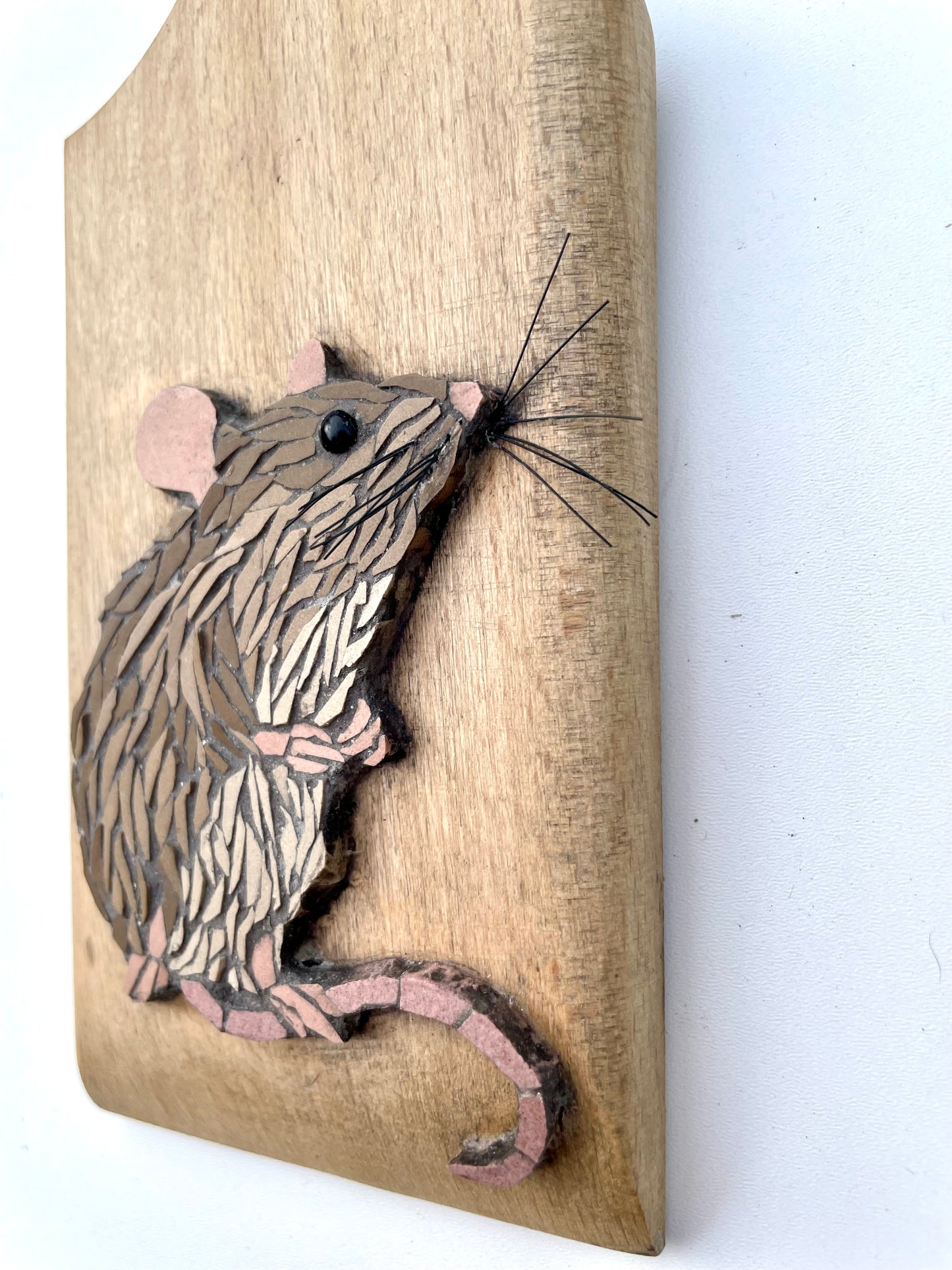 Sweet little Mouse