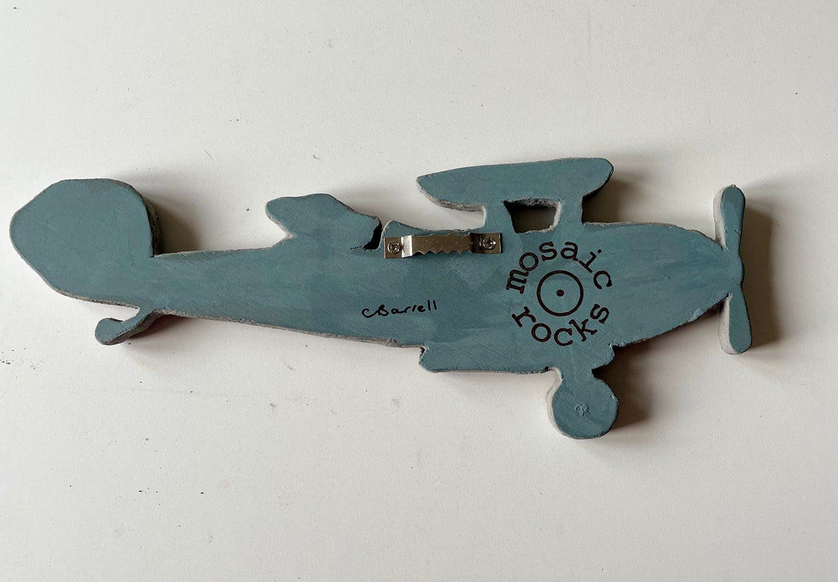 Flying Dog in a Biplane