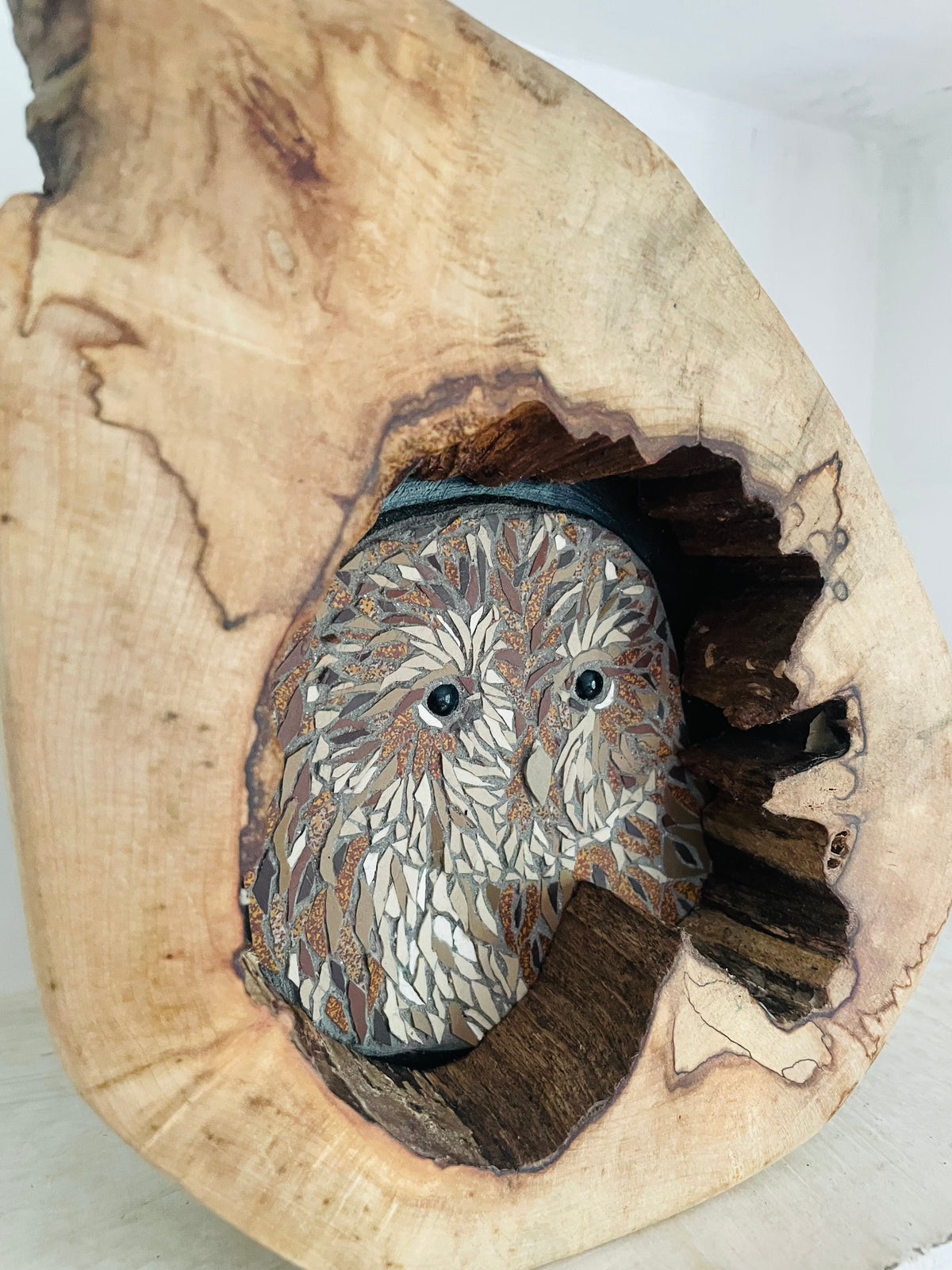 Tawny Owl in wooden Tree Hollow