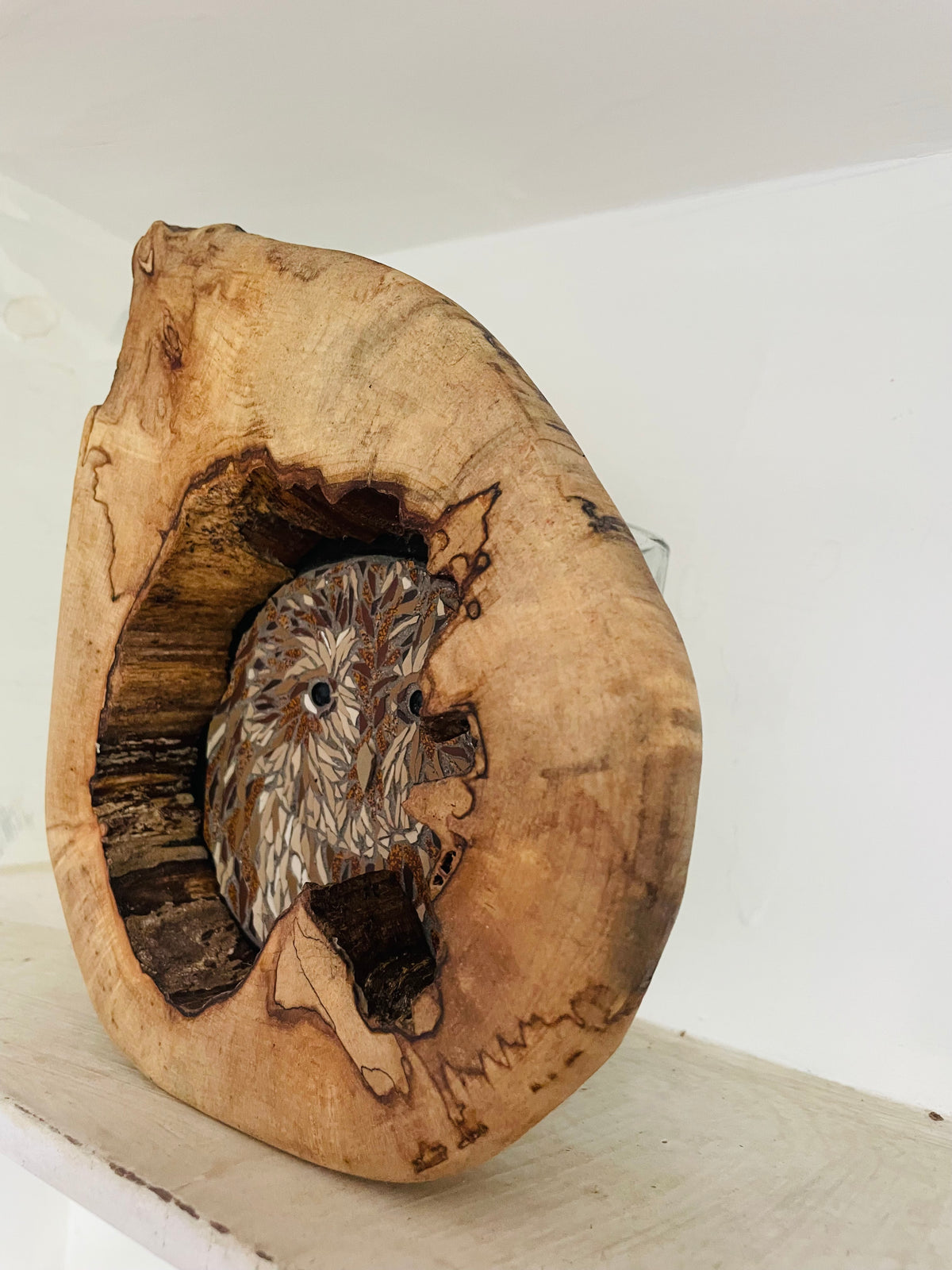 Tawny Owl in wooden Tree Hollow
